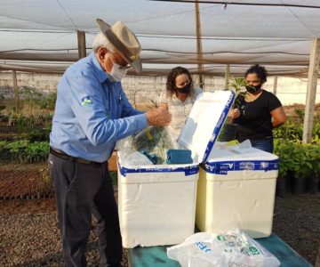 Vice-governador José Jodan faz parceria com secretaria de agricultura para melhoramento genético do abacate