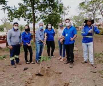 Distribuição e Plantio de Mudas marca o dia da Árvore em Rolim de Moura