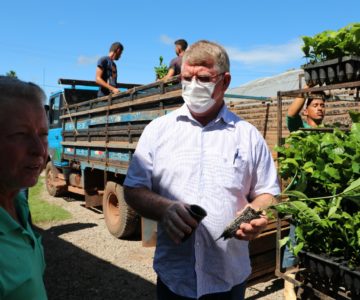 Vice-Prefeito de Rolim de Moura, Alcides Rosa, participa de entrega de mudas de café e cacau clonal aos produtores rolimourenses