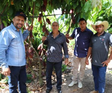 Dia de Campo sobre cultura do Cacau Clonal em Rolim de Moura contou com a participação de mais de 200 pessoas