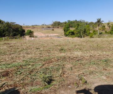 Produtores atendidos pela SEMAGRI nesta semana