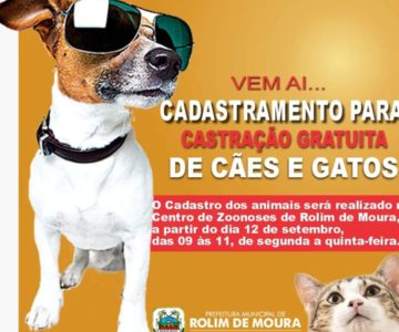 Centro de Zoonoses informa que cadastro para castração de animais começa em setembro em Rolim de Moura