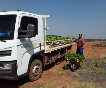 Acompanhe os trabalhos realizados pela SEMAGRI esta semana para os produtores de Rolim de Moura