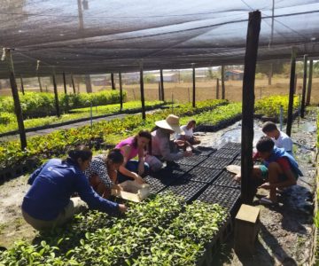 Crianças atendidas pelo Serviço de Fortalecimento de vínculo de Rolim de Moura visitam Viveiro Cidadão