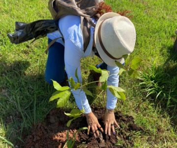 Secretaria de Meio Ambiente de Rolim de Moura celebra o Dia da Árvore