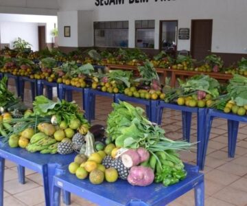 Prefeitura de Rolim de Moura anuncia compra de mais de 300 mil reais de produtos da agricultura familiar no PAA municipal