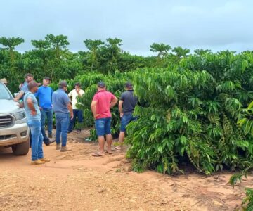 Cafeicultores de Rolim de Moura participam de intercâmbio em Nova Brasilândia