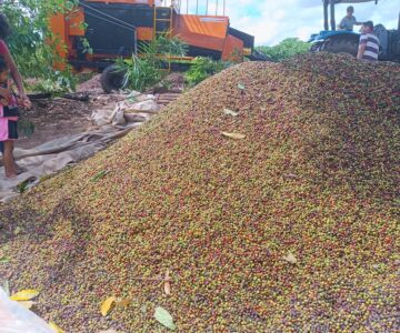 Associação de produtores da linha 208 é contemplada com recolhedora de café pela Secretaria de Agricultura de Rolim de Moura