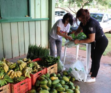 Em dois meses, SEMAS já atendeu 1200 famílias com cestas verdes do PAA municipal em Rolim de Moura neste ano