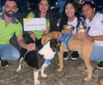 Feira de adoção foi um sucesso,  19 animais foram levados para novos lares em Rolim de Moura