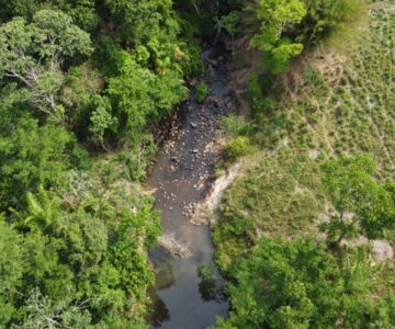 ‘Vida às Margens’: projeto prevê recuperação de igarapés que abastecem Rolim de Moura