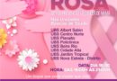 Atendimentos das UBSs para Outubro Rosa