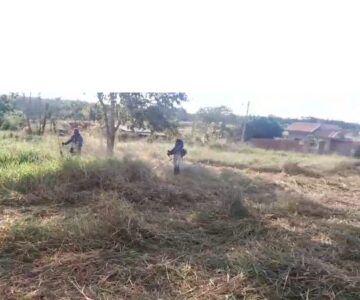 Prefeitura reforça notificação coletiva e orienta limpeza de terrenos urbanos conforme legislação municipal