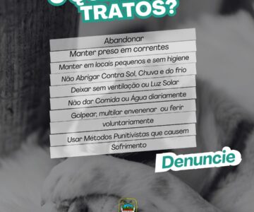 Prefeitura reforça combate aos maus-tratos e pede apoio da população