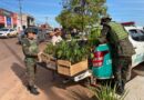 Prefeitura de Rolim de Moura e SEMMADU abrem Semana do Meio Ambiente com ações de conscientização e distribuição de mudas