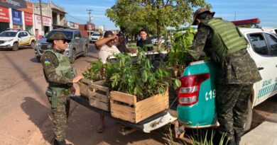 Prefeitura de Rolim de Moura e SEMMADU abrem Semana do Meio Ambiente com ações de conscientização e distribuição de mudas