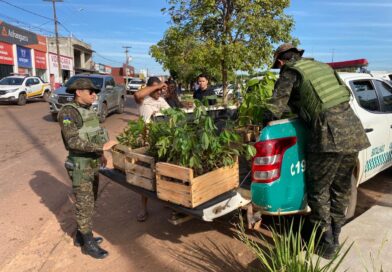 Prefeitura de Rolim de Moura e SEMMADU abrem Semana do Meio Ambiente com ações de conscientização e distribuição de mudas