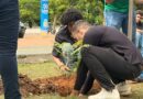 Dia da Árvore: SEMMADU e UNIR unem conhecimento e ação para fortalecer a preservação ambiental em Rolim de Moura