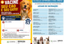 Vacinação antirrábica ocorre no próximo sábado